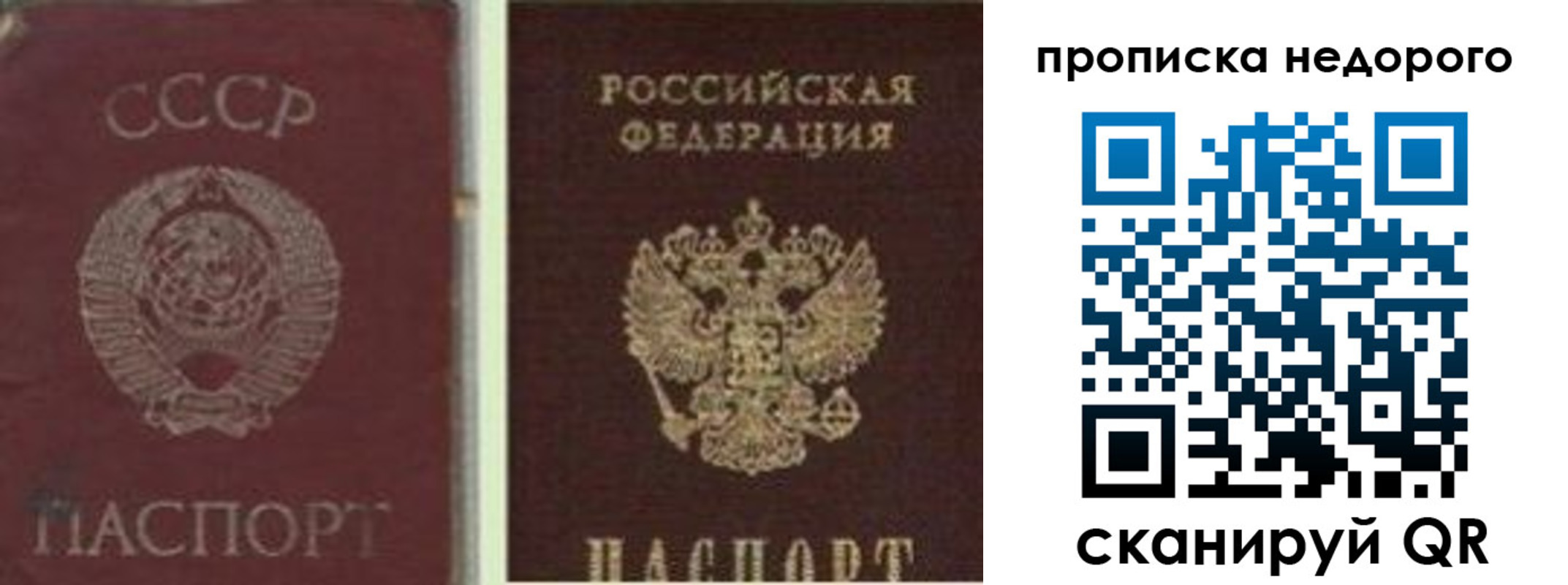 временная регистрация поиск в Десногорске